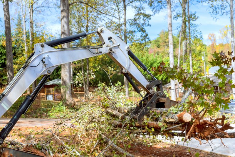Local Commercial Land Clearing in Powder Springs, GA