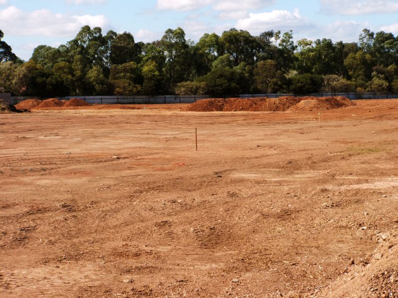 Local Commercial Site Clearing in Canyon Lake, TX