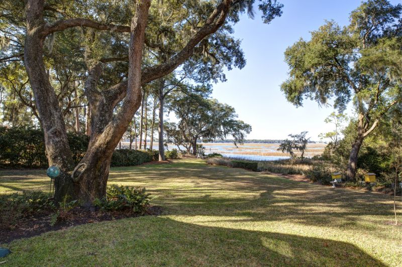 Local Forestry Clearing in Calhoun, GA