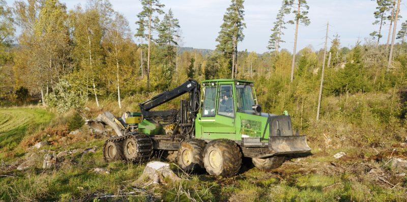 Local Forestry Clearing in Capitol Heights, MD