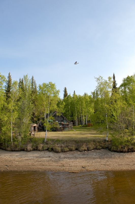Local Forestry Clearing in Fontana, WI