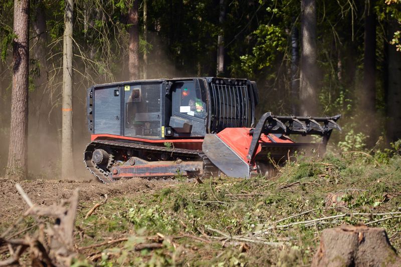 Local Forestry Clearing in Lusby, MD