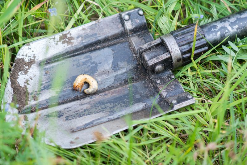 Local Grubbing in Bandera, TX