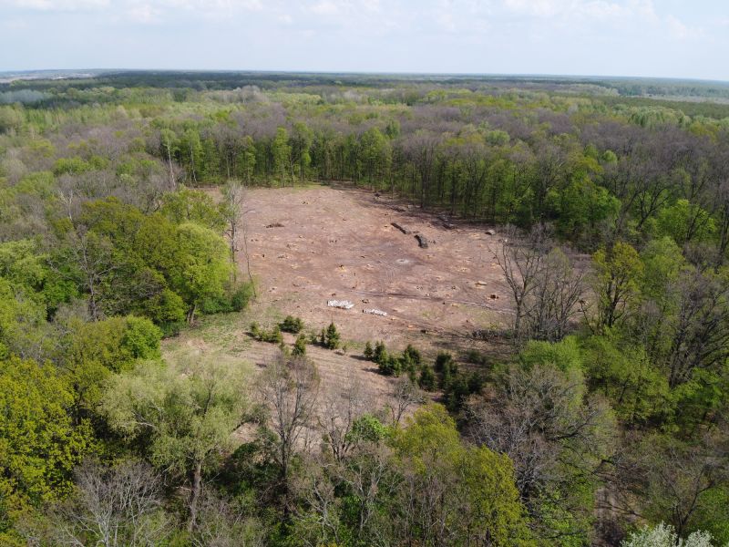 Local Land Clearing in Liberty Hill, TX