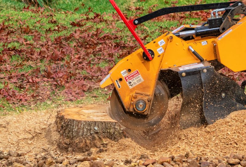 Tree Stump Removal Equipment