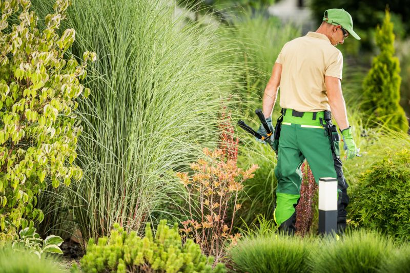 Local Land Preparation Service in Georgetown, TX
