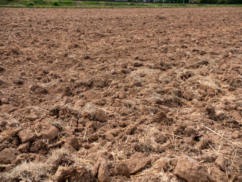 Local Land Preparation Service in Lilburn, GA