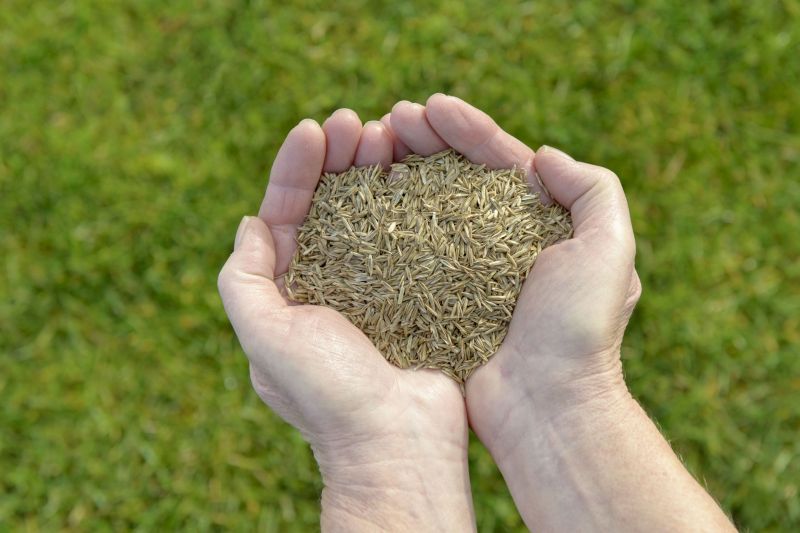 Land Preparation Service