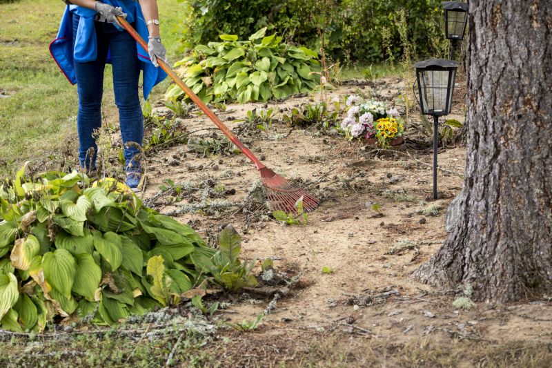 Local Site Clearing Service in Horseshoe Bay, TX