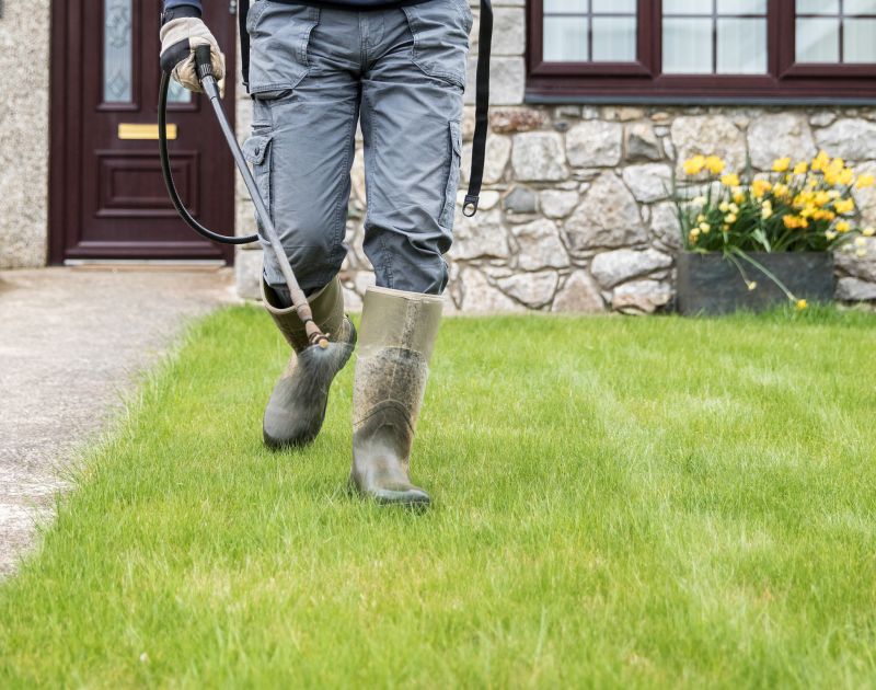 Local Site Prep Service in Cleveland, GA