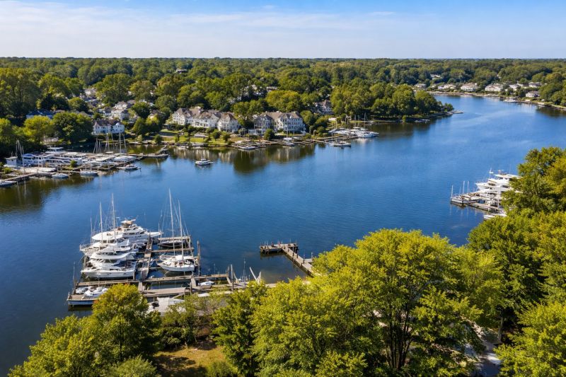 Local Commercial Land Clearing in Brandywine, MD