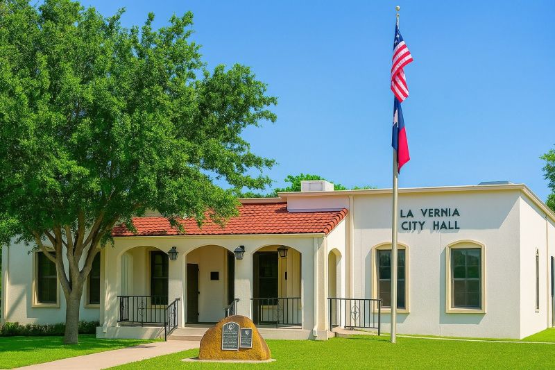 Local Commercial Site Clearing in La Vernia, TX