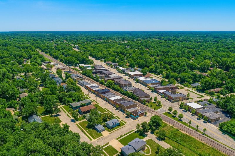 Local Forestry Clearing in Cary, IL