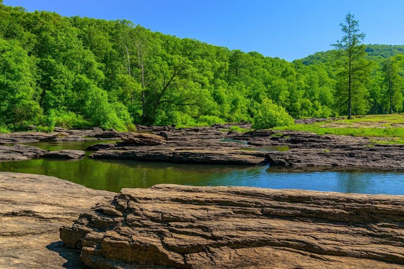 Local Land Clearing in Lithia Springs, GA