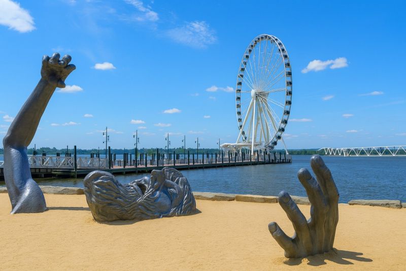 Local Parking Lot Land Clearing in Oxon Hill, MD