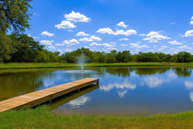 Local Site Clearing Service in Spicewood, TX