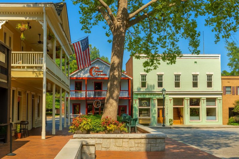 Local Site Clearing Service in Dahlonega, GA