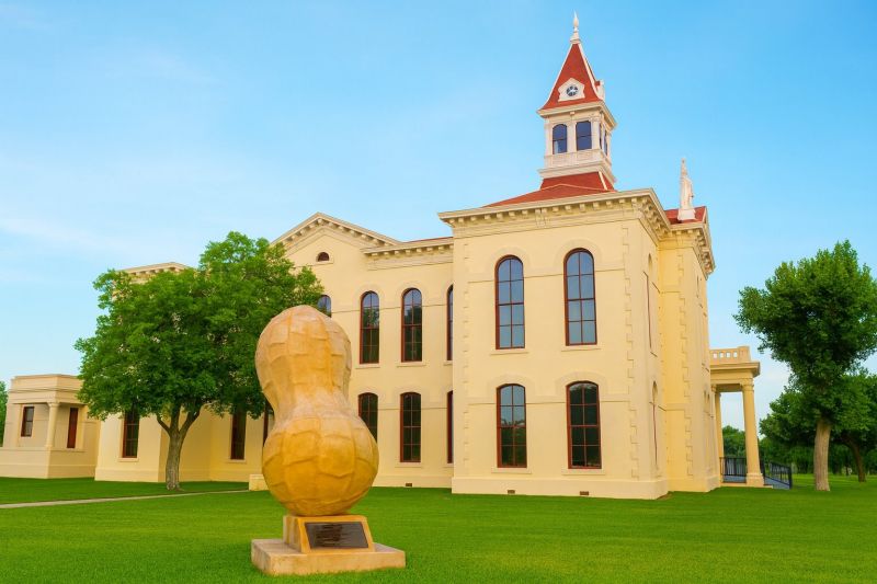 Local Site Prep Service in Floresville, TX